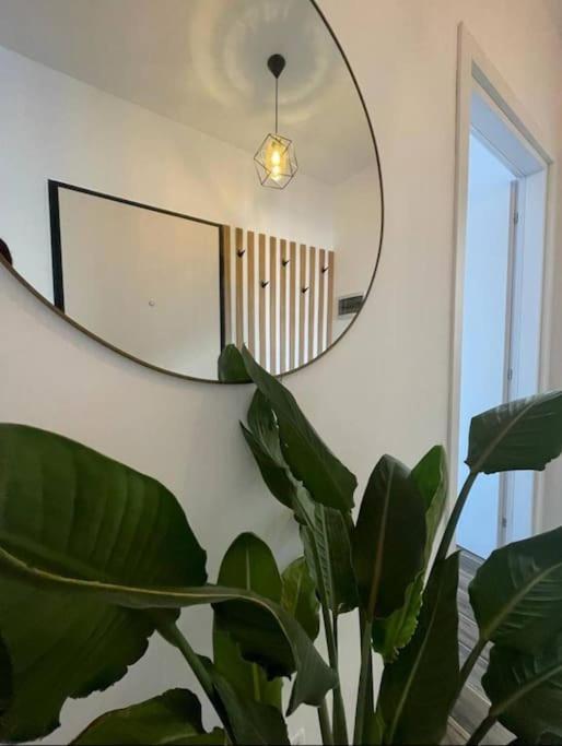 Tirana City Comfort Zewnętrze zdjęcie